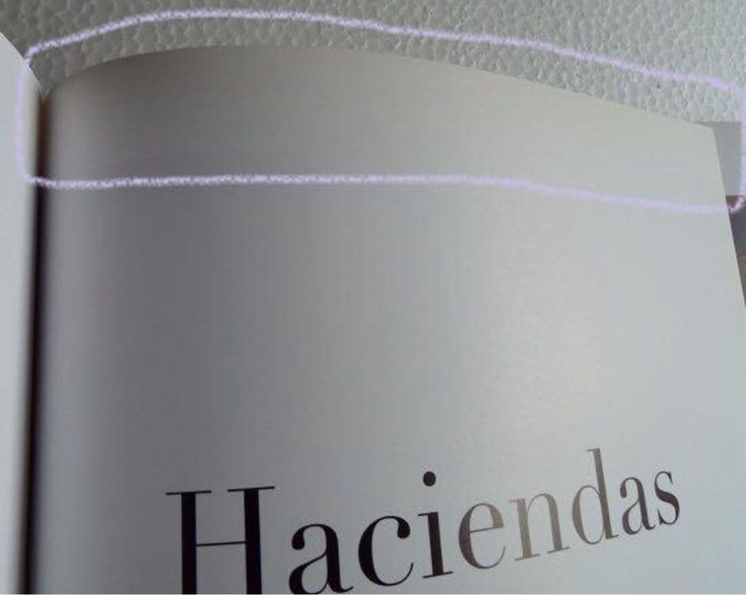 Haciendas Spanish Colonial Houses レア洋書