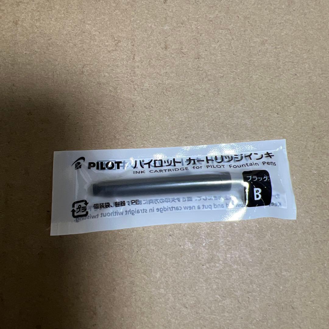 PILOT 万年筆 マンネンヒツカスタムヘリテイジマーブルオレンジ