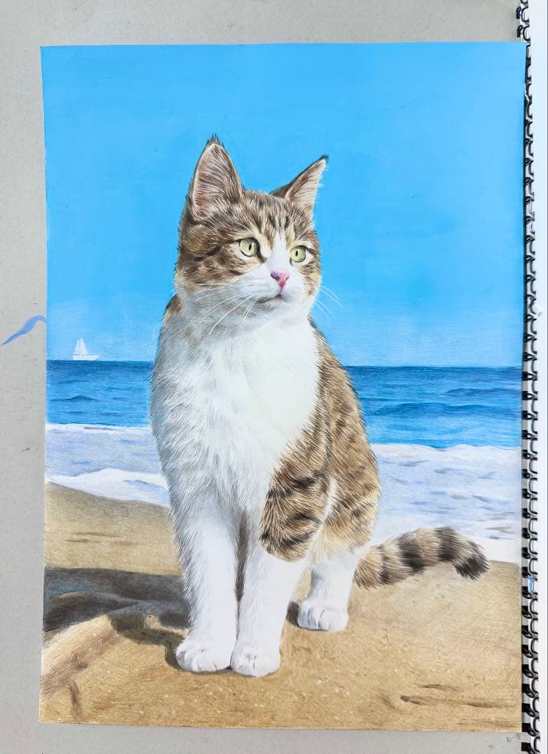 原画　色鉛筆画　海と猫　A4サイズ 額縁付き　手描き　イラスト