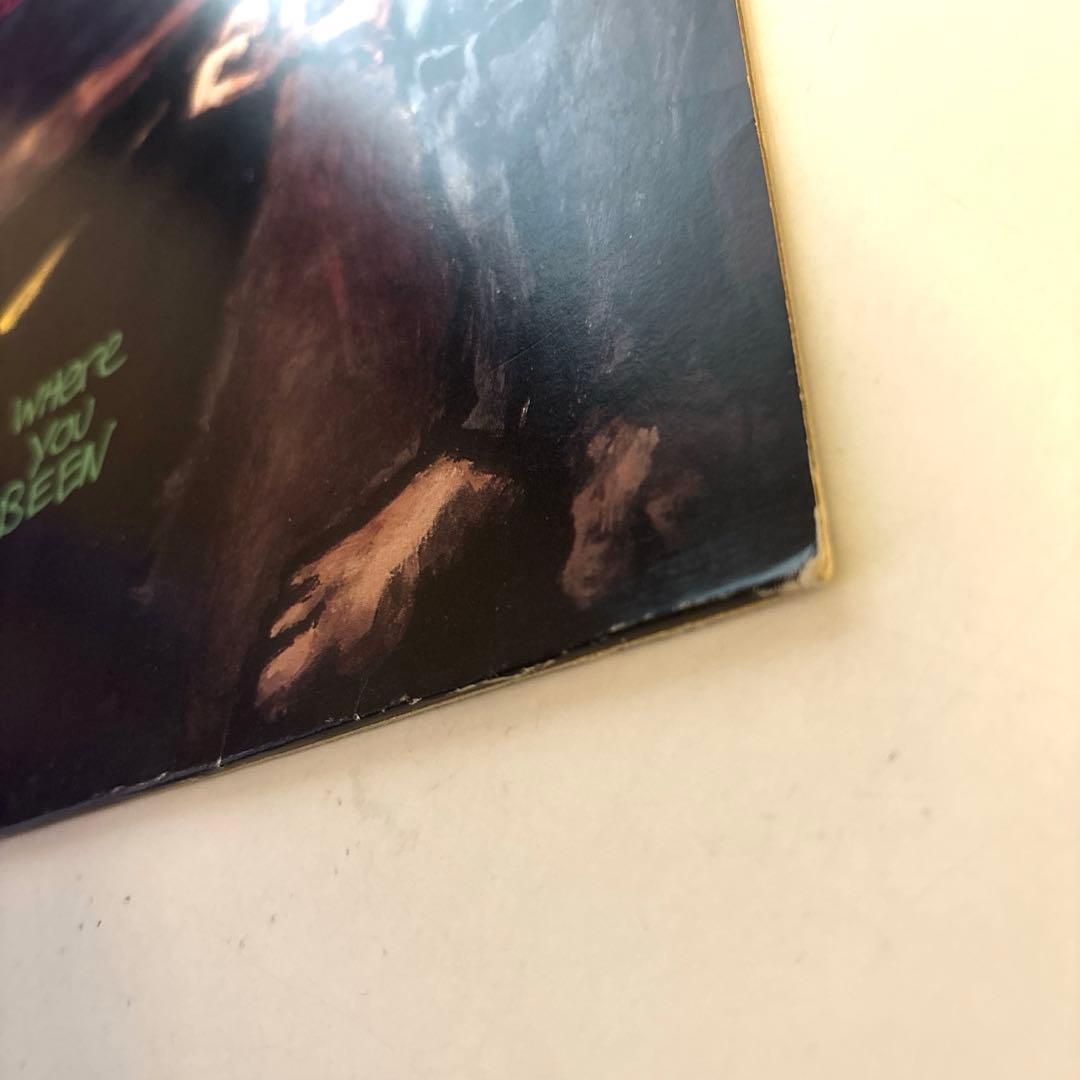 DINOSAUR JR Where You Been LP レコード