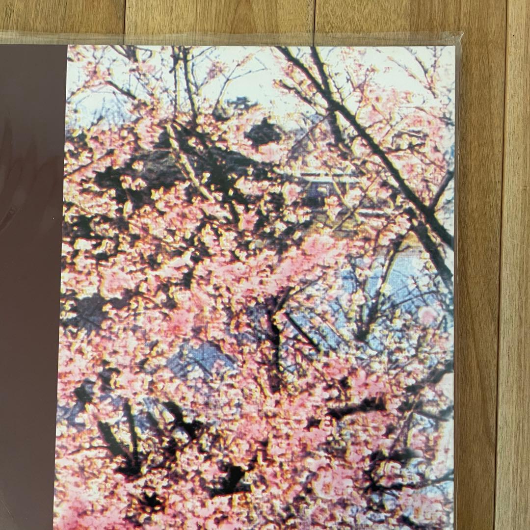 おまけ付き サニーデイ・サービス 東京 LP アナログ盤 未開封