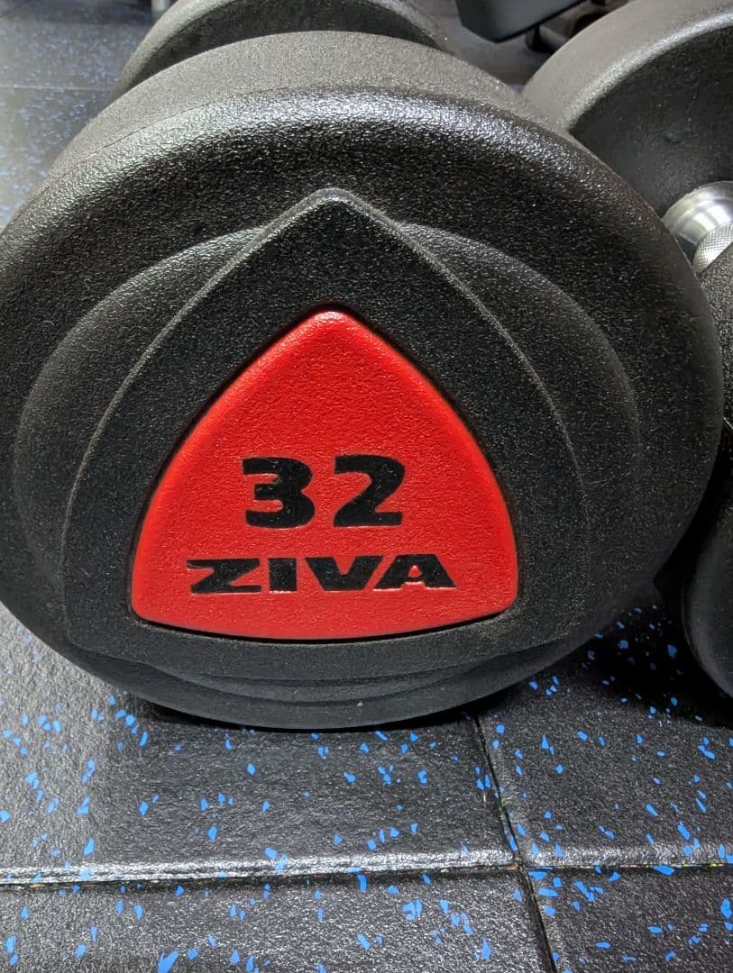 美品　ZIVA　ジーヴァ　ウレタンダンベル　32kg　①　1個
