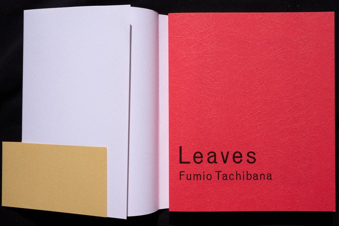Leaves 立花文穂 作品集