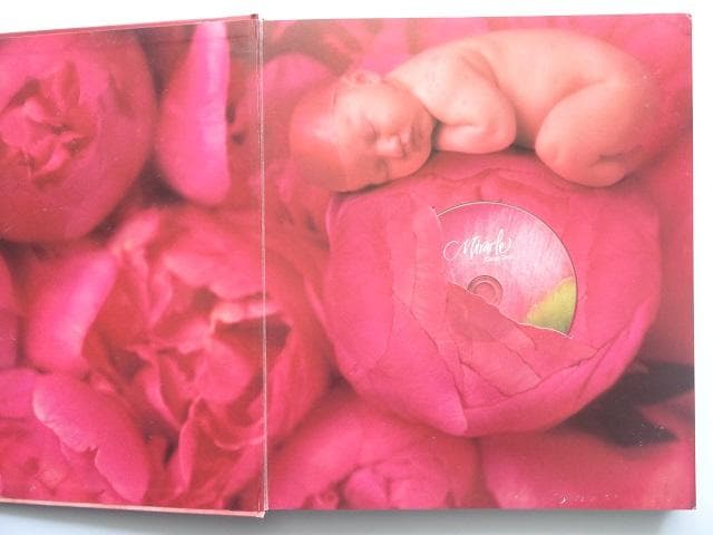 洋書◆セリーヌ・ディオン写真集 本 音楽 アン・ゲデス CD DVD付属