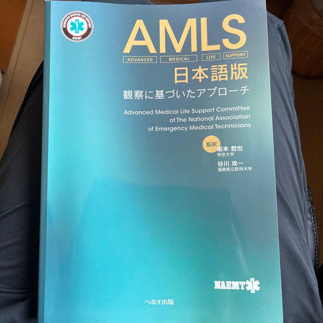 AMLS日本語版 観察に基づいたアプローチ