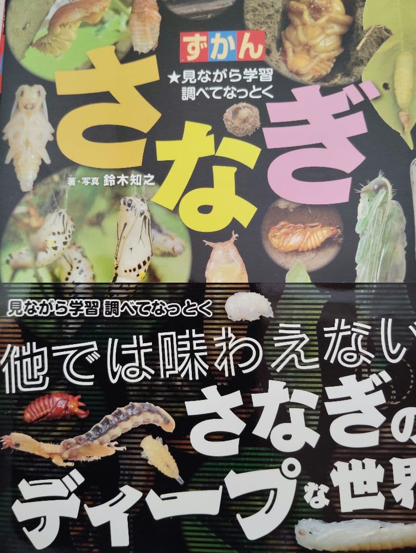 昆虫図鑑、ドリル9冊セット【17000円相当】▼値下げ依頼〜歓迎▼