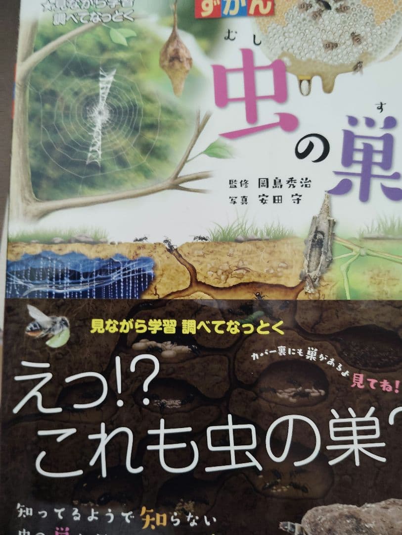 昆虫図鑑、ドリル9冊セット【17000円相当】▼値下げ依頼〜歓迎▼