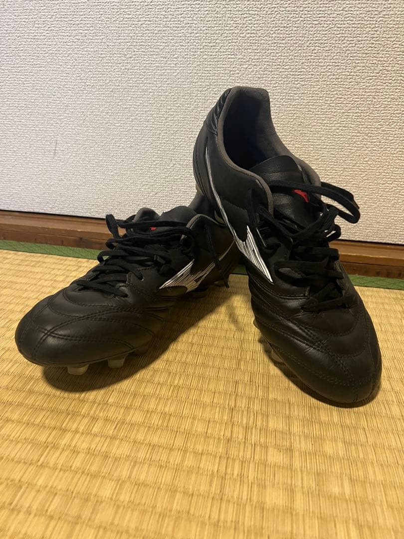 モナルシーダ NEO 3 SW 26.5㎝