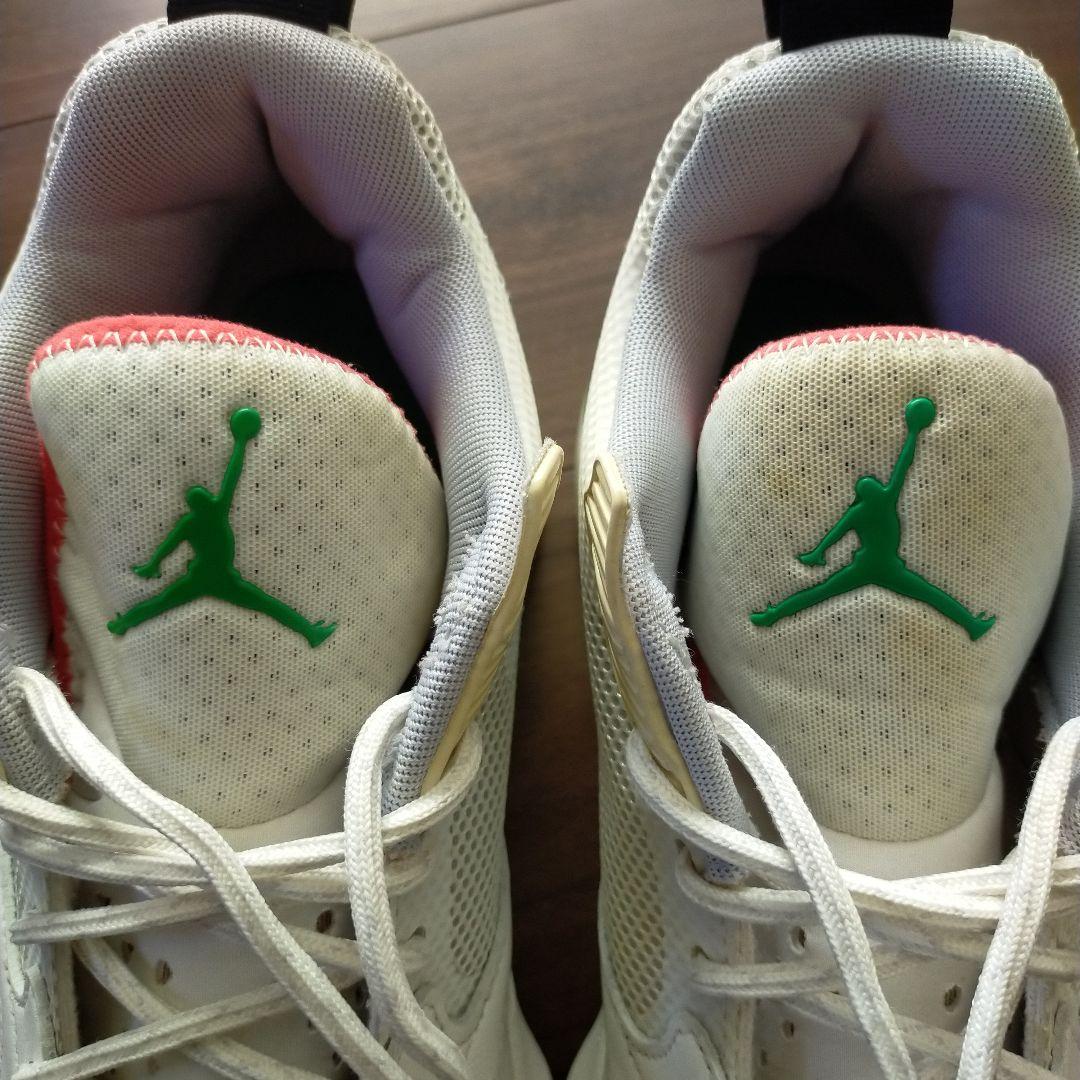 綺麗なナイキ Air Jordan サイズ27cm