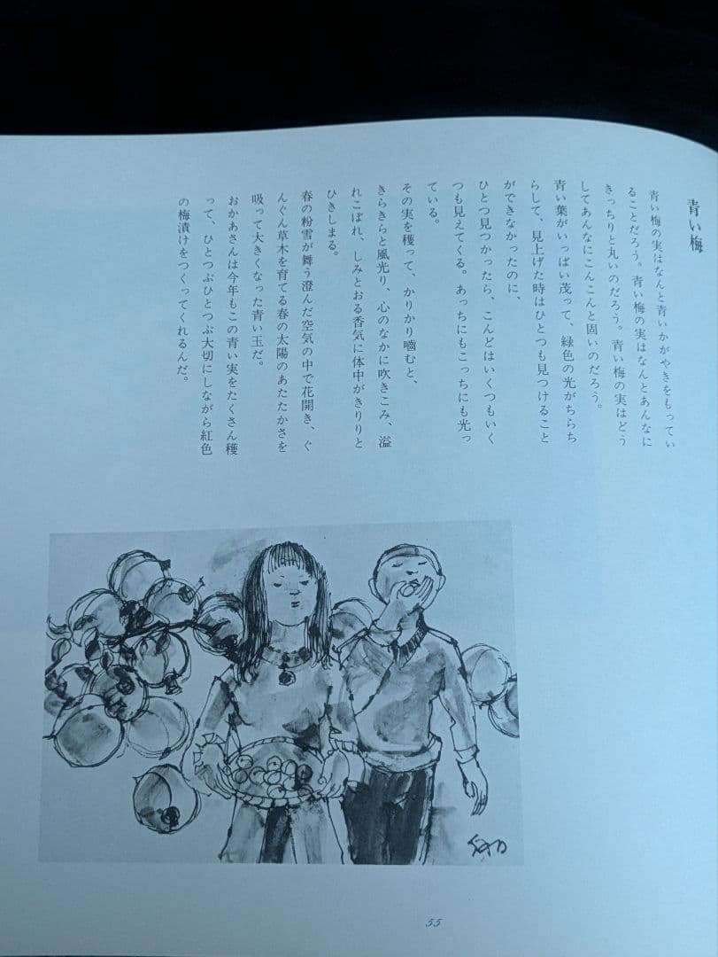 希少/打田早苗詩画集 草笛の丘から 懐郷のうた