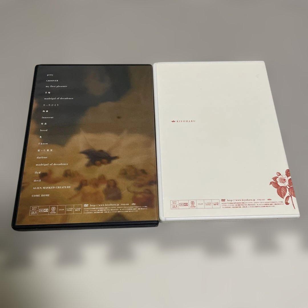 清春 LOUNGE 冬椿　090731 Liquid Room DVD 会場限定