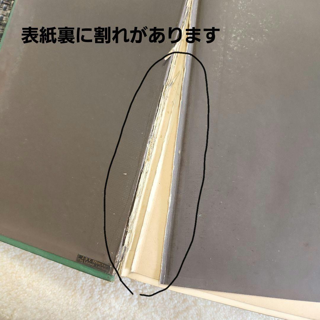 植物図鑑　洋書　古書　ボタニカルアート　アンティーク　リトグラフ　25