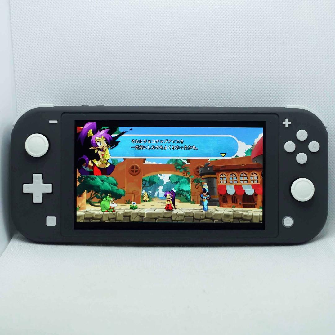 【スティック交換メンテ済】Nintendo switch lite グレー＋AC