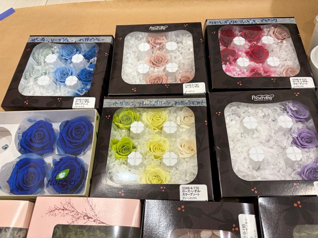 プリザーブドフラワー ブッタナッツ スパニッシュモス 花材まとめ売り