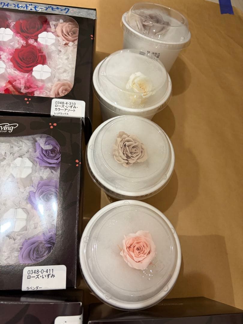 プリザーブドフラワー ブッタナッツ スパニッシュモス 花材まとめ売り