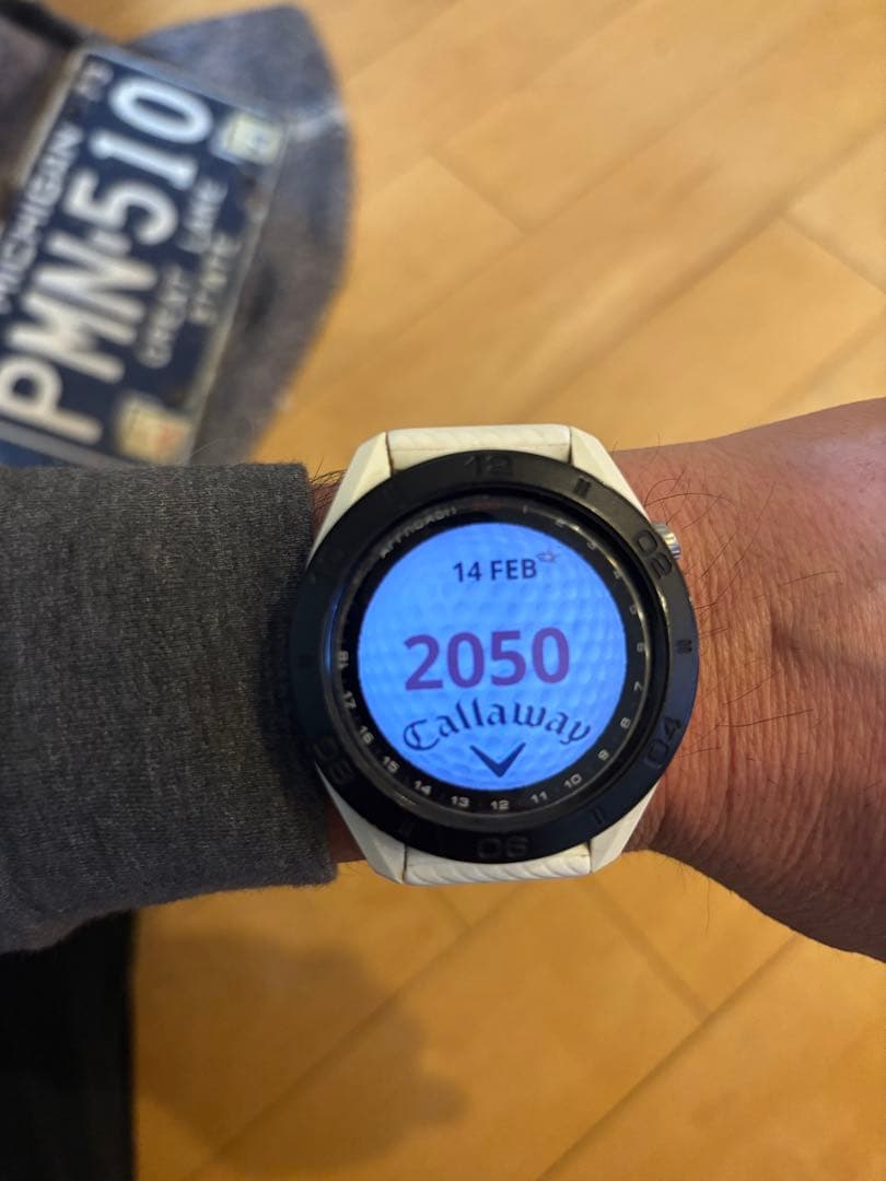 Garmin Approach S60 GPSナビ