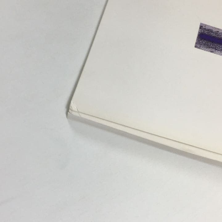 ◇7D　中西夏之　Painting 1980-85　1985　図録　古書