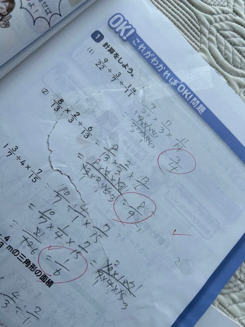 進研ゼミ　チャレンジ6年生　おまとめ