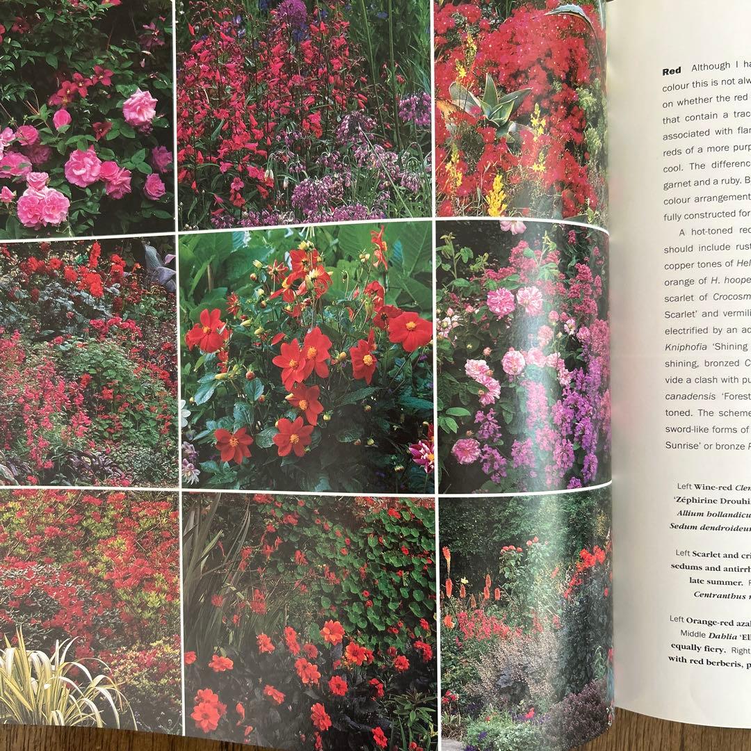 洋書　Planting Companions