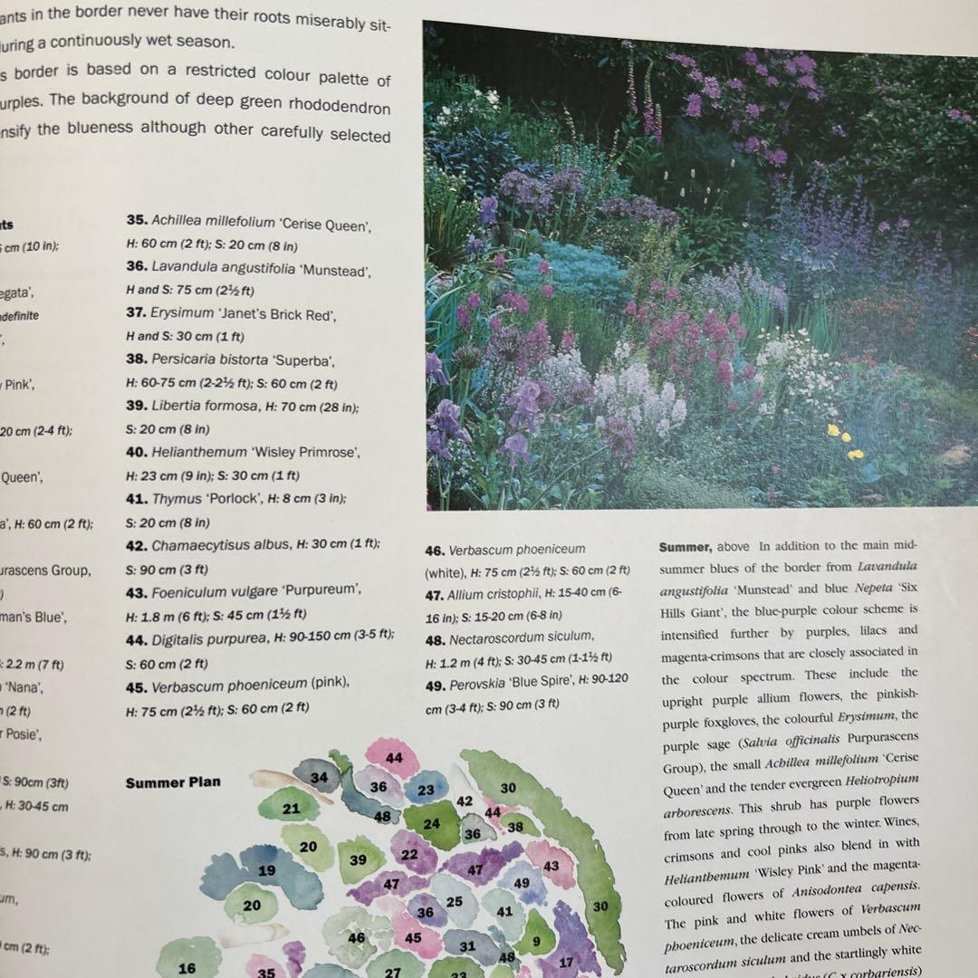 洋書　Planting Companions