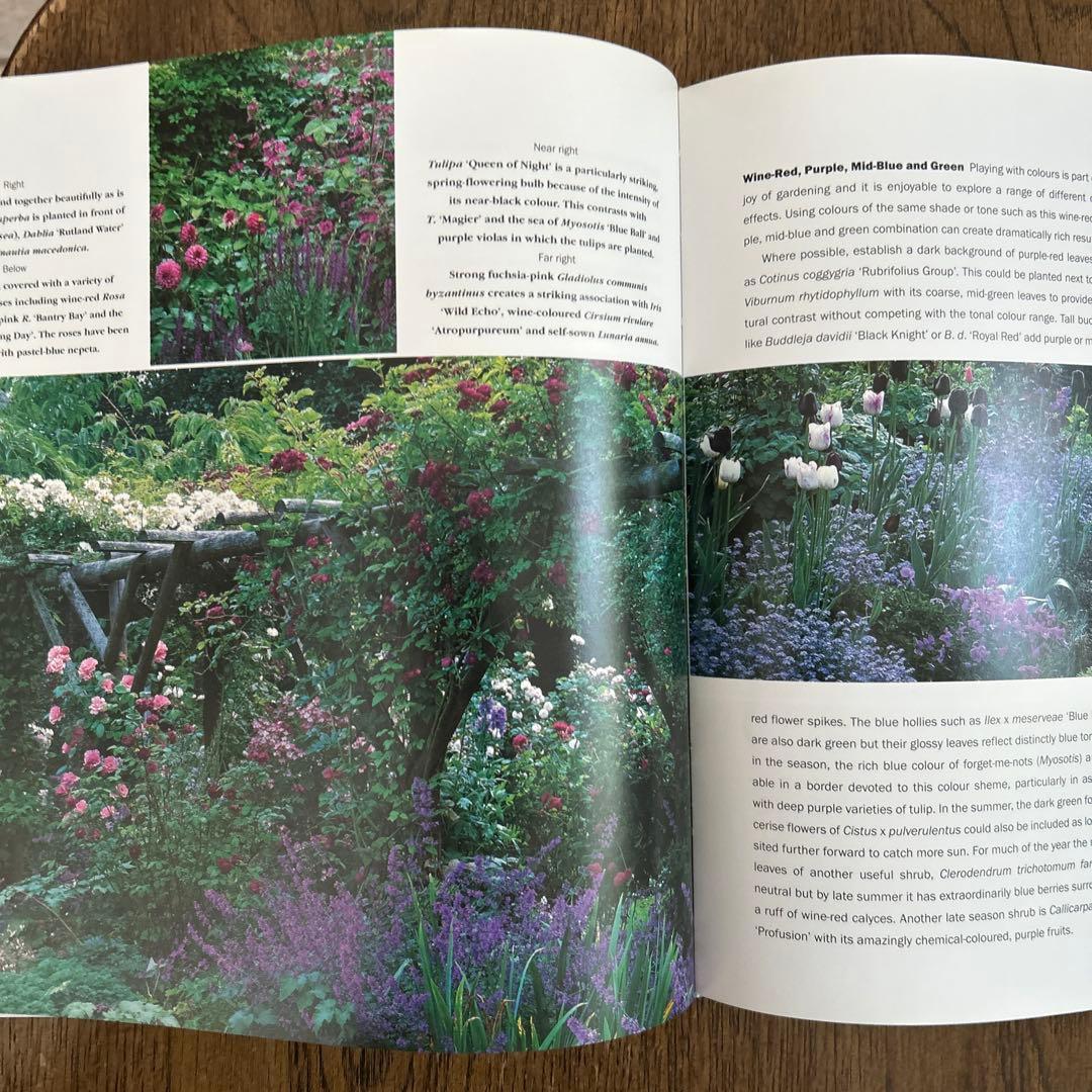 洋書　Planting Companions