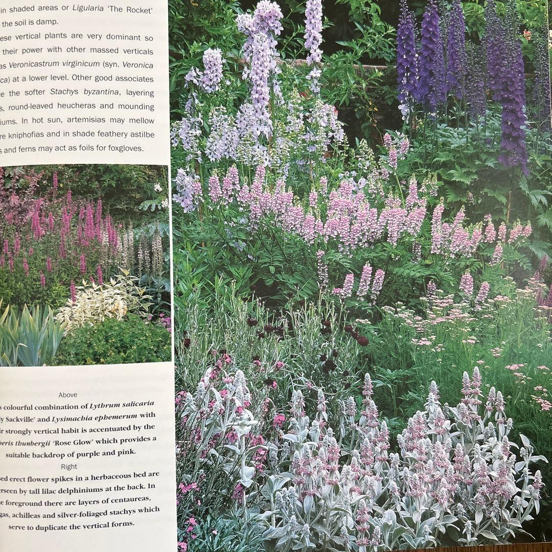 洋書　Planting Companions