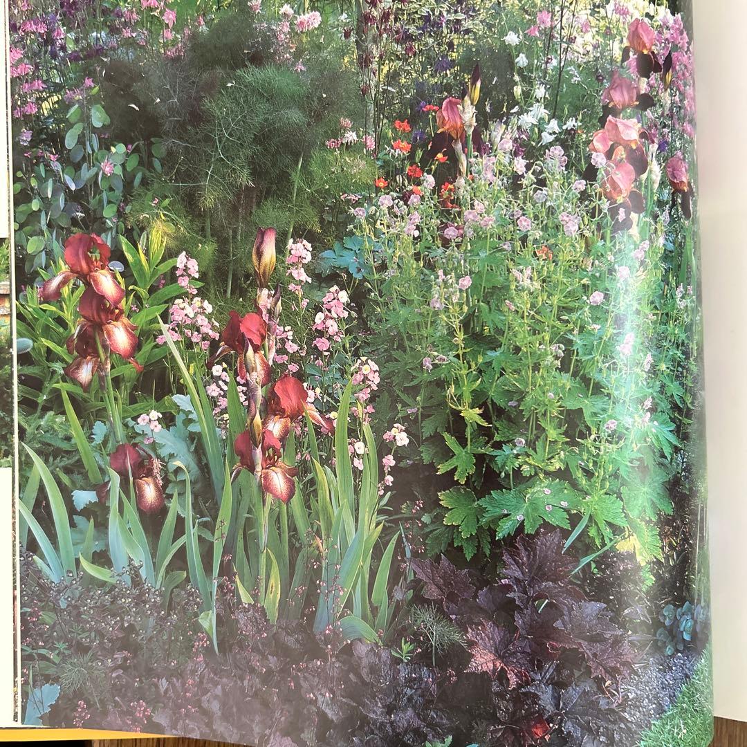 洋書　Planting Companions