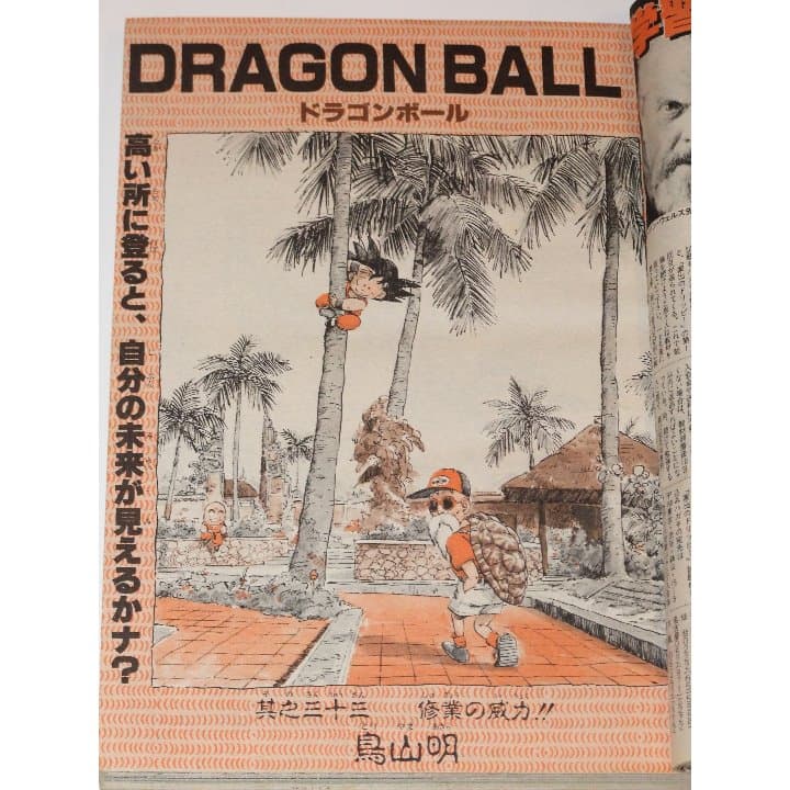 週刊少年ジャンプ1985年33号/シティハンター/ドラゴンボール