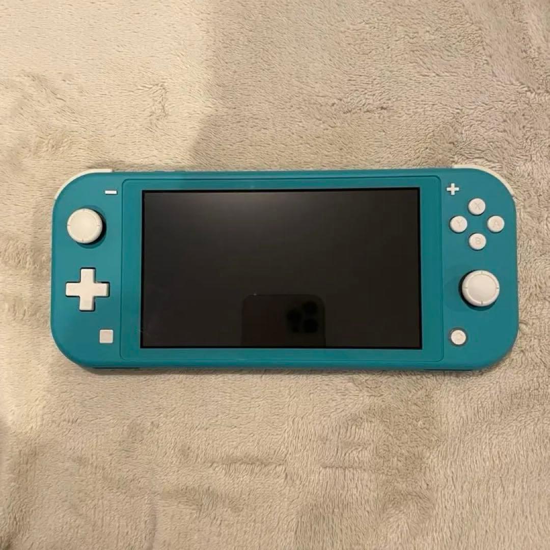 Nintendo Switch Lite 本体　ケース/カバー付き