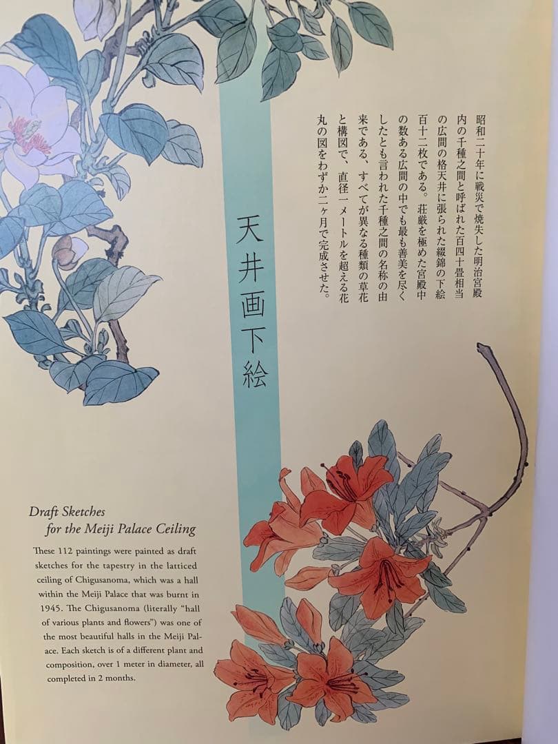 柴田是真 下絵・写生集 東京芸術大学大学美術館所蔵 二重箱で保管