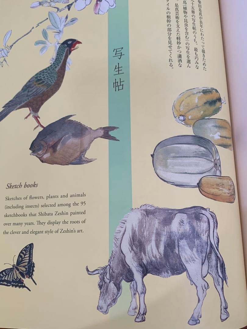 柴田是真 下絵・写生集 東京芸術大学大学美術館所蔵 二重箱で保管