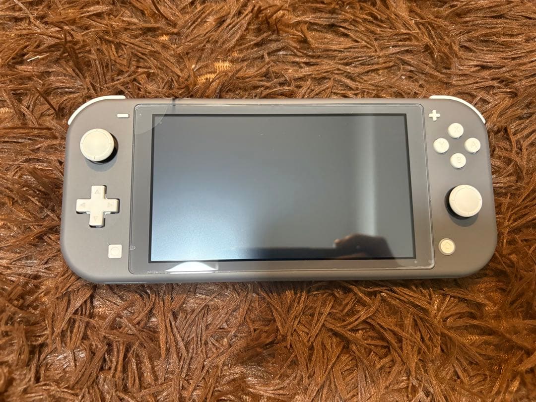 Nintendo Switch Lite グレー 本体 充電器付き　カセット5個