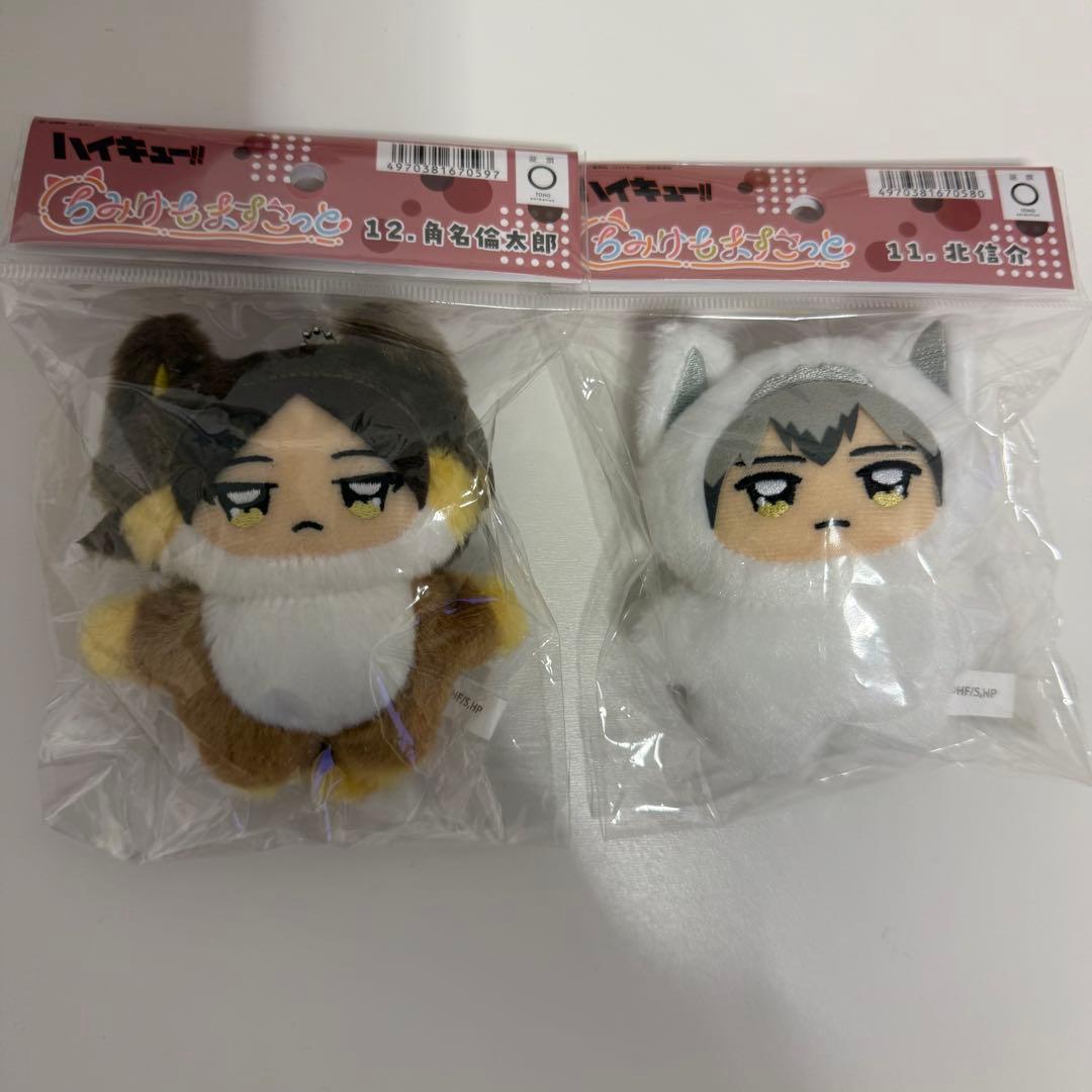ハイキュー　ジロリぬいぐるみ 稲荷崎 宮侑 宮治 北信介 角名倫太郎 ちみけも