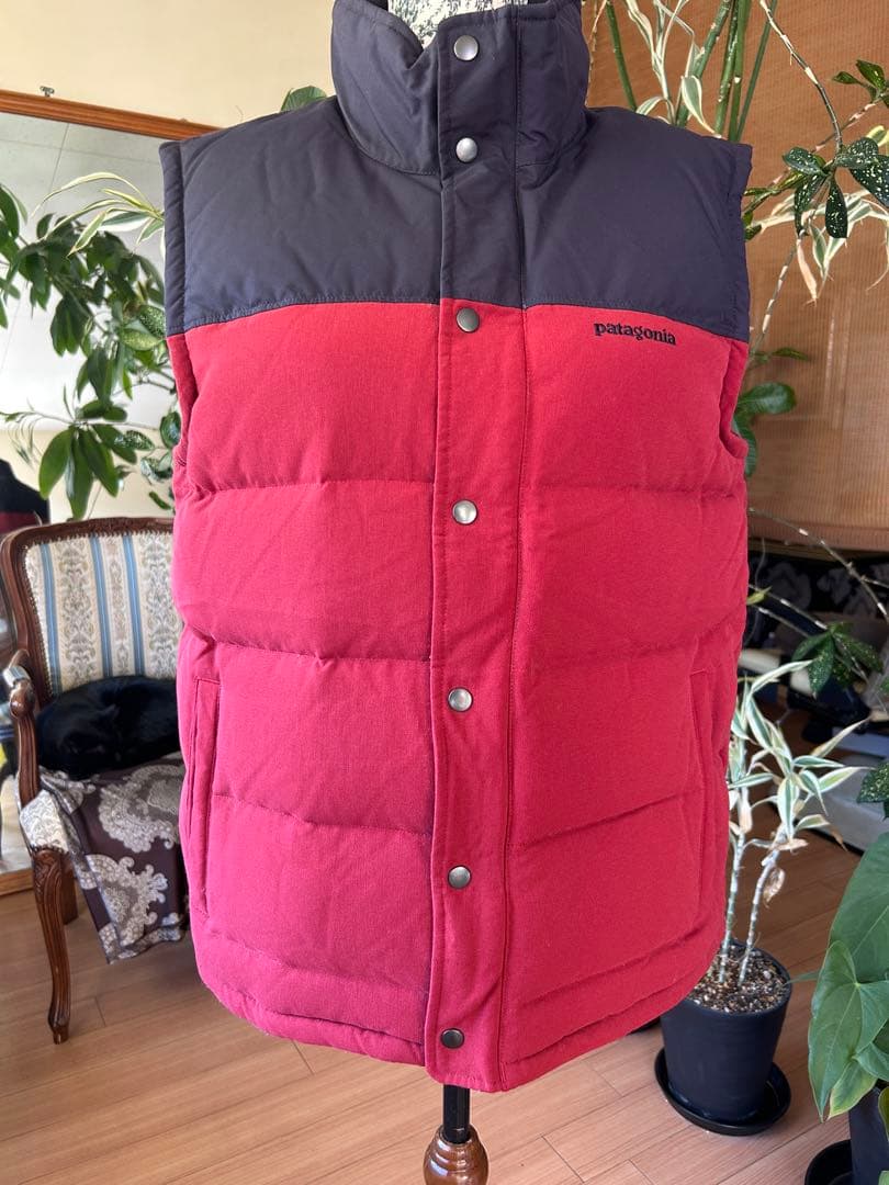 名高き戦士　ページ　patagonia ダウンベスト 赤　紺　レッド