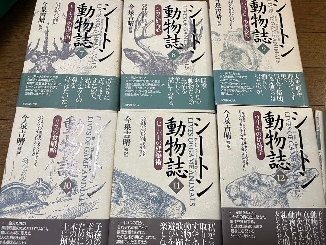 シートン動物誌 全巻 12巻➕シートンセット 今泉吉晴