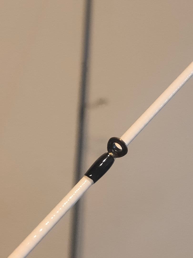 BLACK LION 75M Tip ホワイトバージョン ティップラン TR