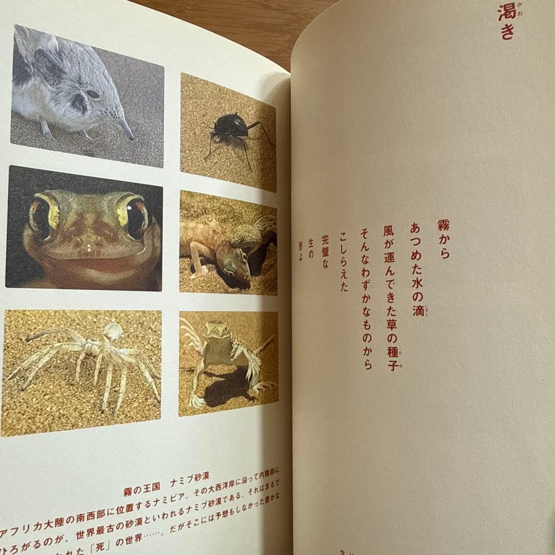 神々の詩 高良留美子