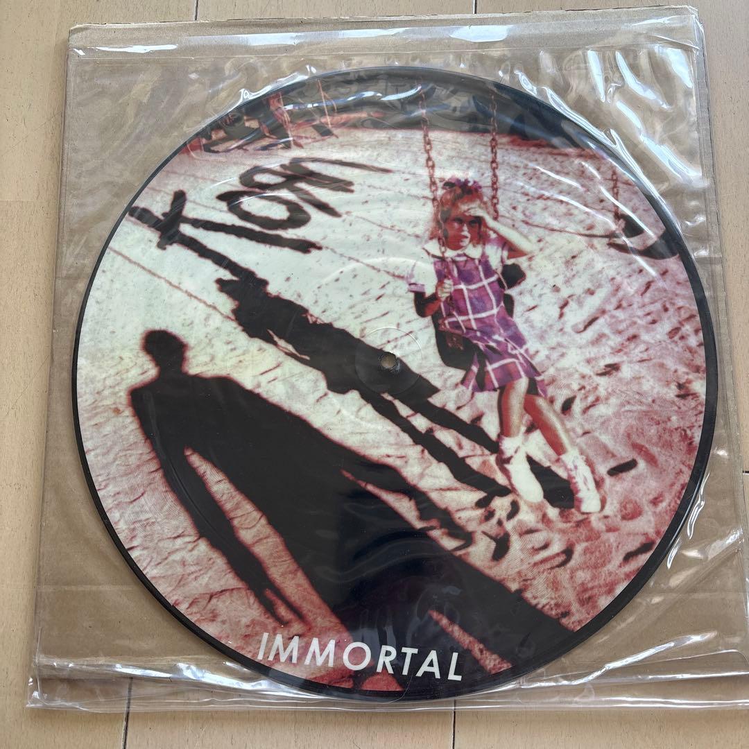 KORN / IMMORTAL ピクチャーディスク レコード