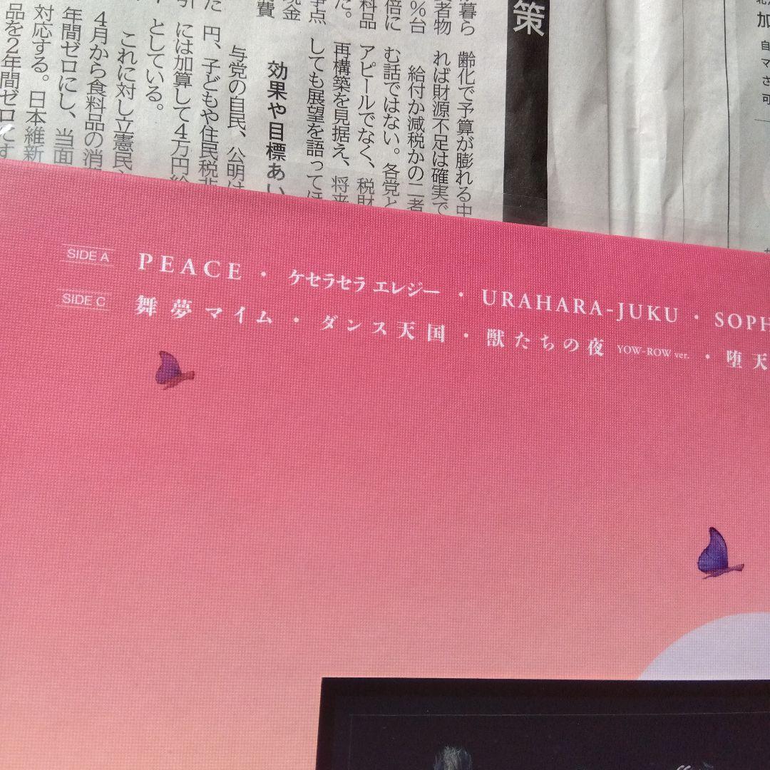 P*N様 BUCK-TICK　ABRACADABRA　アナログ　レコード