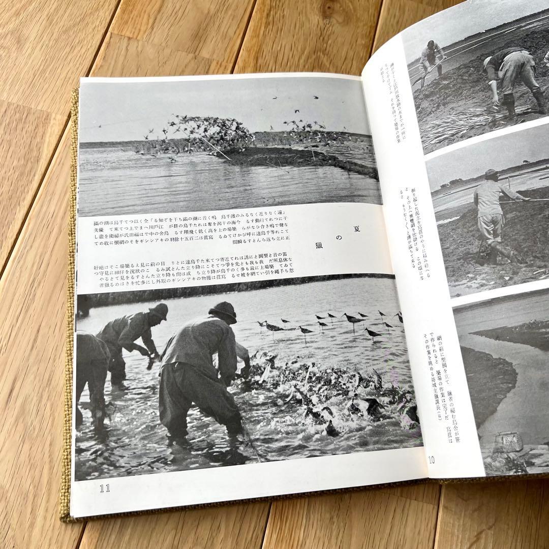 写真記録　日本鳥類狩猟法　堀内讃位　野鳥　限定版