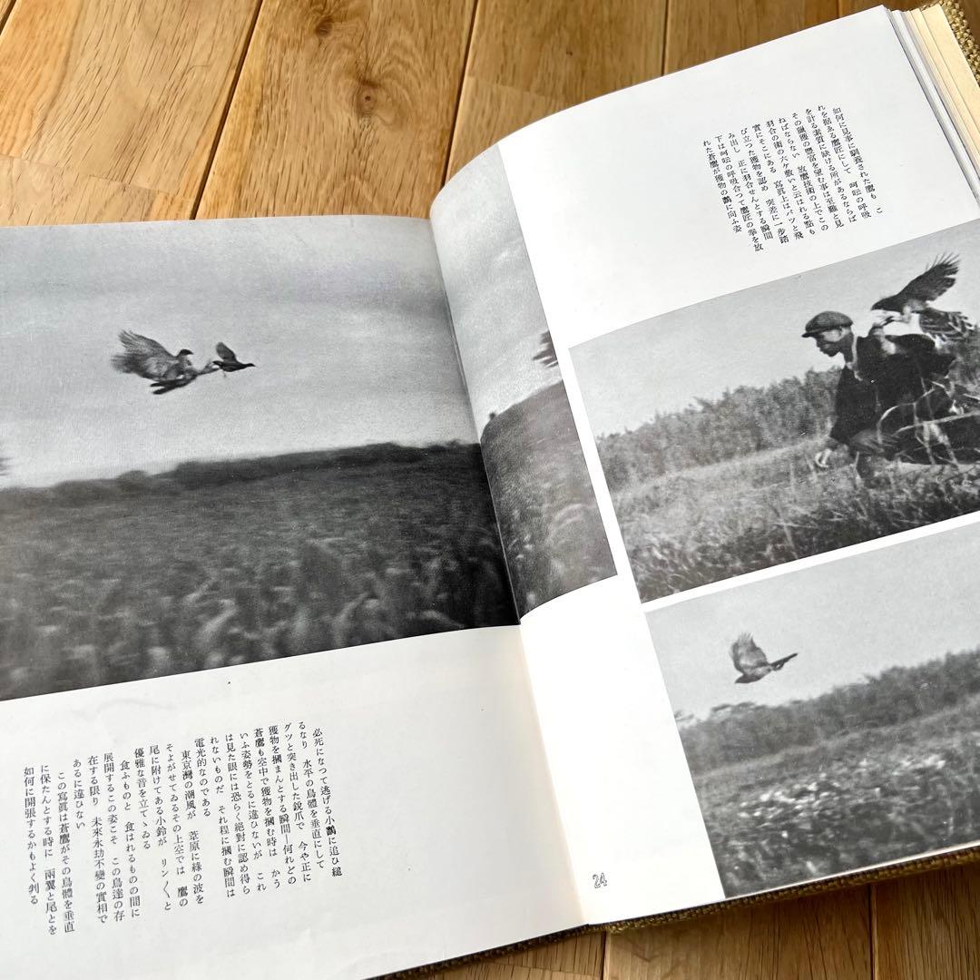 写真記録　日本鳥類狩猟法　堀内讃位　野鳥　限定版
