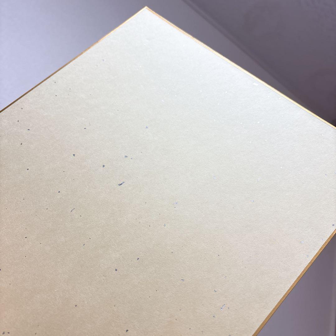 日*1様 【美品】秒速5センチメートル 新海誠監督 直筆サイン入り 色紙 大色紙