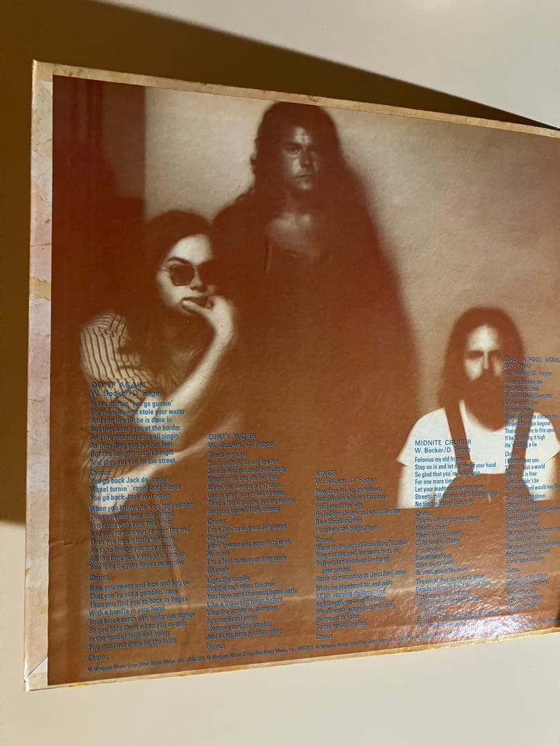 US盤 Steely Dan / Can't Buy A Thrill レコード