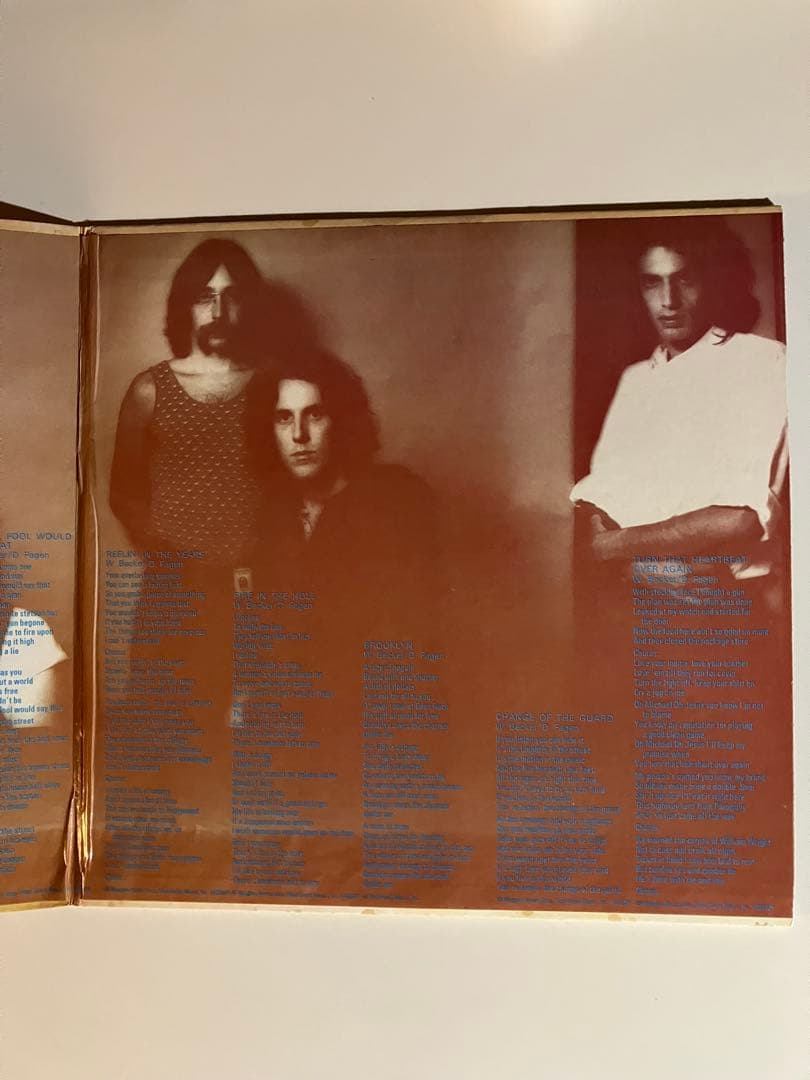 US盤 Steely Dan / Can't Buy A Thrill レコード