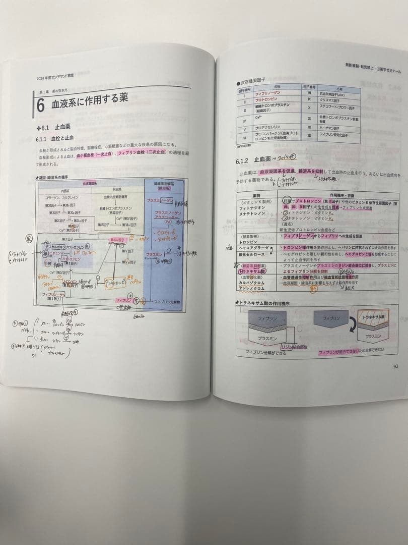 薬学ゼミナール 薬剤師国家試験 100日インプットマスター