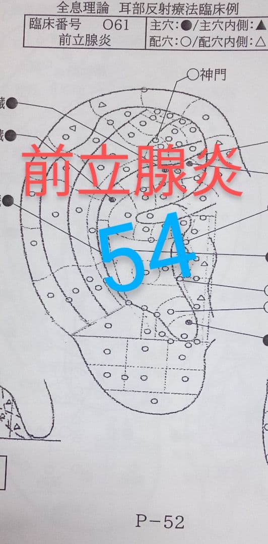 Bc耳臨床54例集+臓器躯体ラミネート加工+解説プリント13set