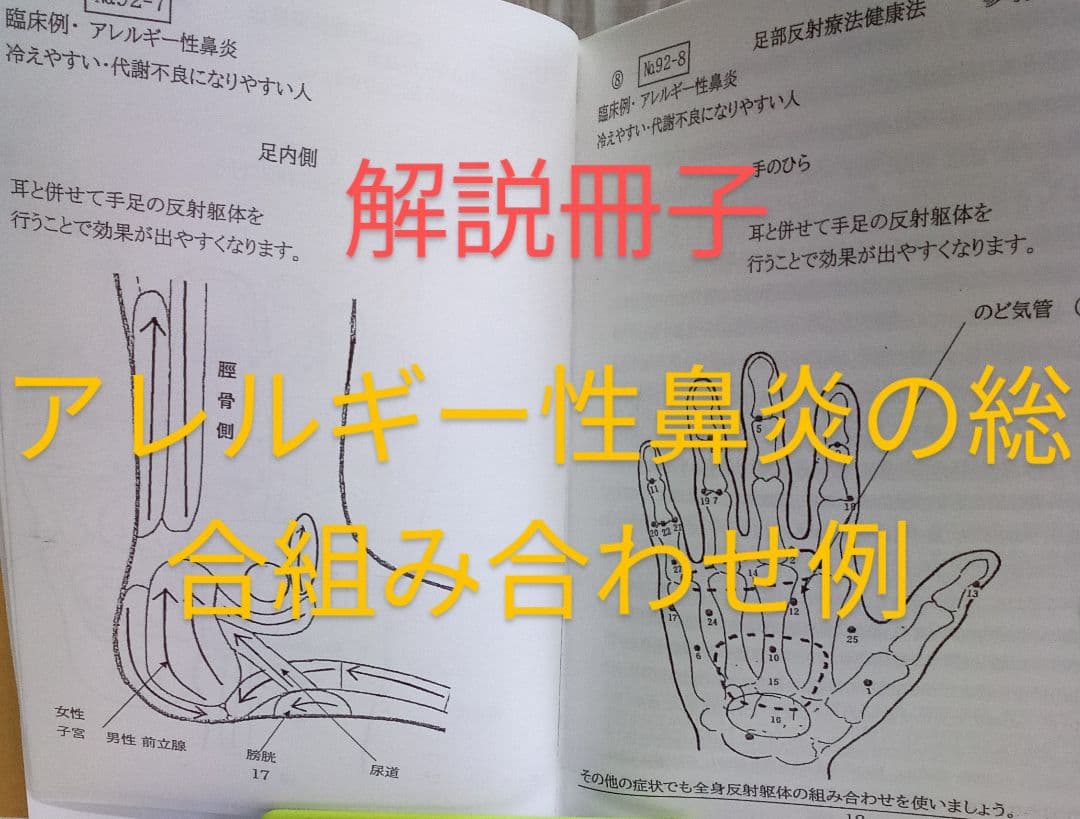 Bc耳臨床54例集+臓器躯体ラミネート加工+解説プリント13set