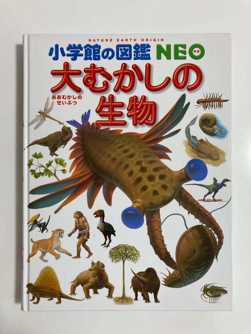《14冊セット》小学館の図鑑NEO 小学館の子ども図鑑プレ図鑑NEO 調べ学習