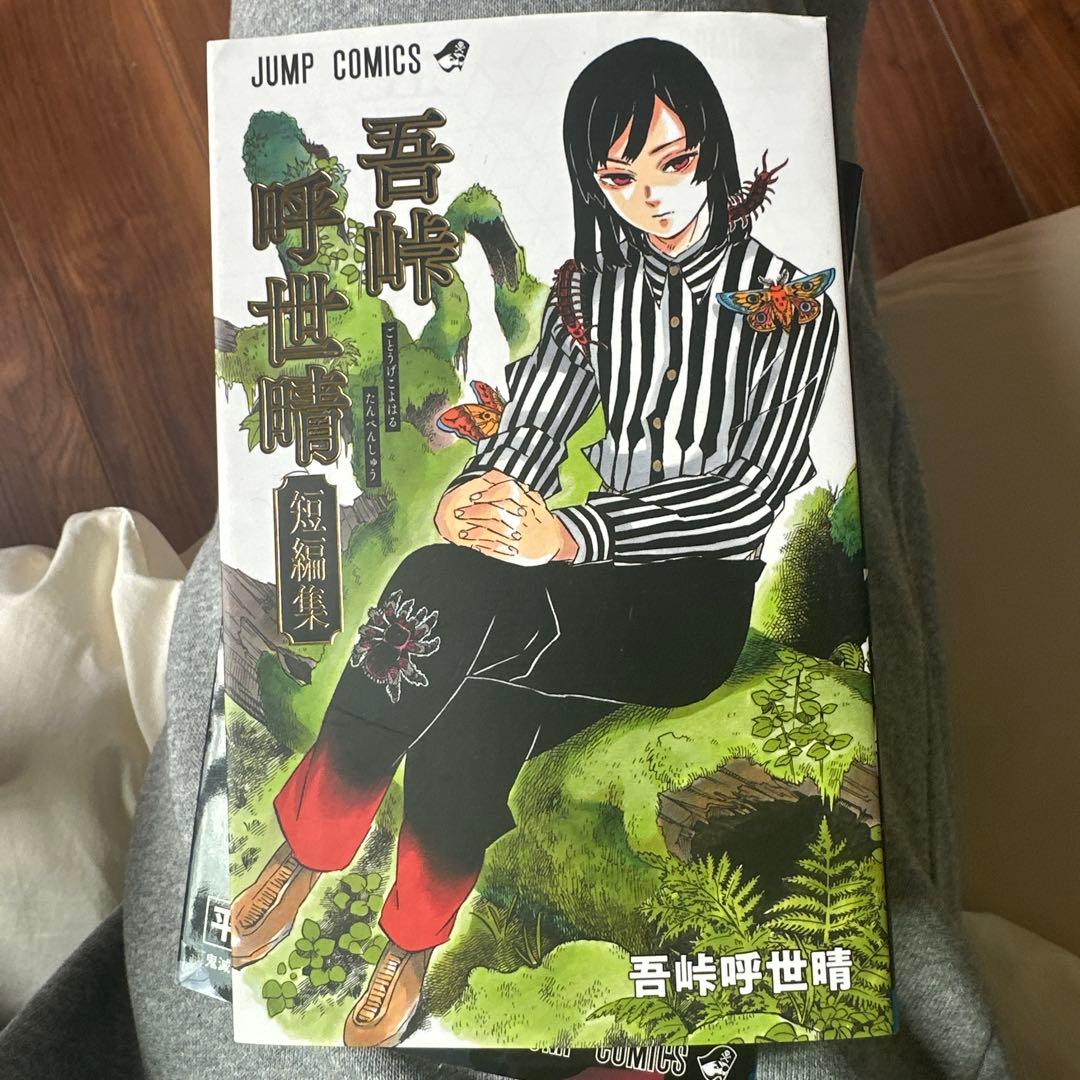 鬼滅の刃全巻+外伝