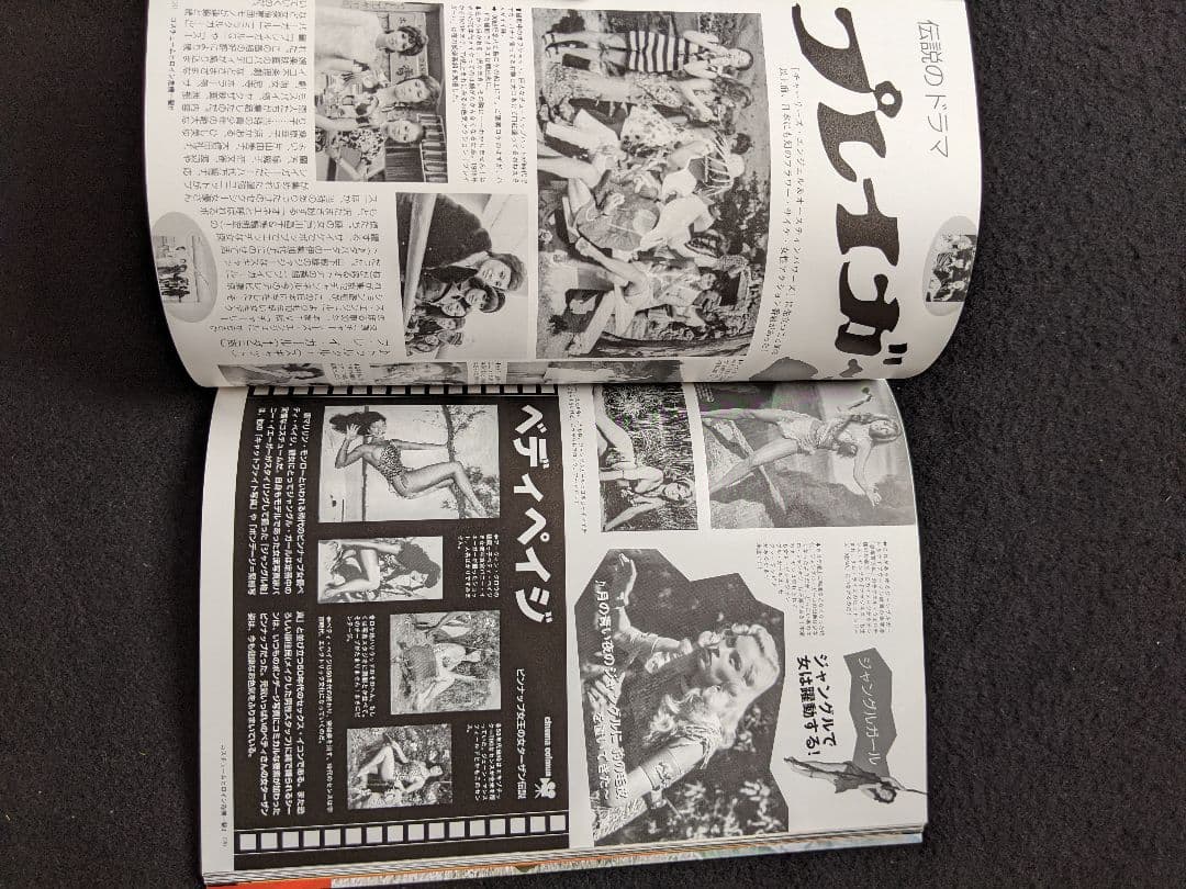ヒロイン危機一髪　お宝秘蔵写真　永久保存版　特撮　ベルスター　セーラーファイト